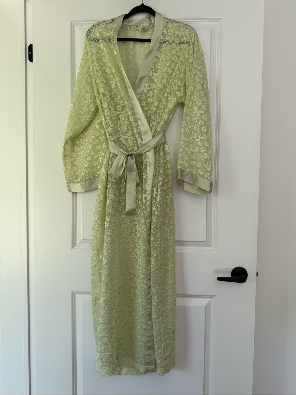 Sheer Floral Satin-Trim Long Robe - Light Green